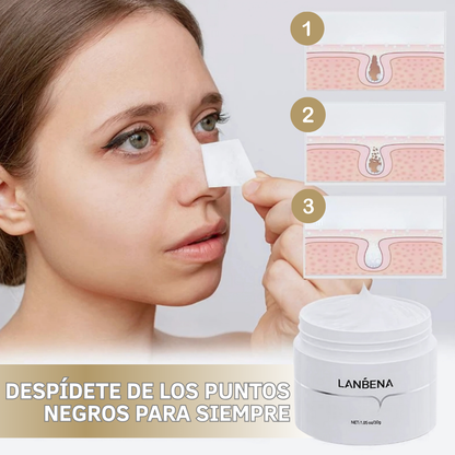 LANBENA Mascarilla Antipuntos Negros con Aloe Vera y Ácido Hialurónico