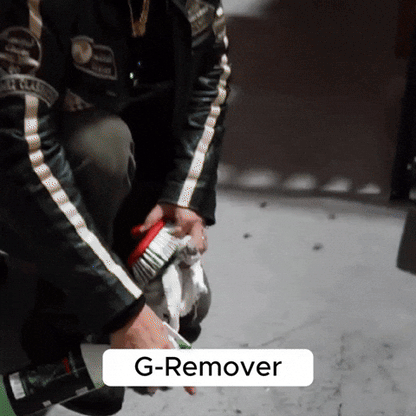 G-Remover | Limpiador concentrado ultrapotente