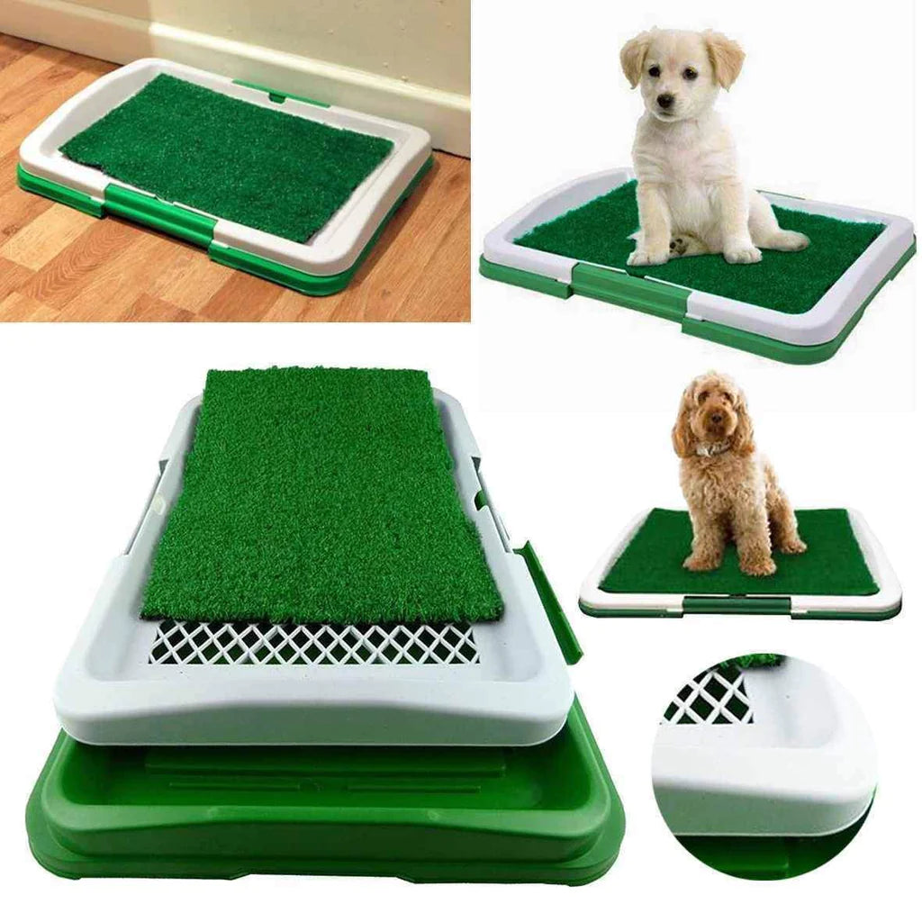 Pee Pad: Tapete sanitario para perros